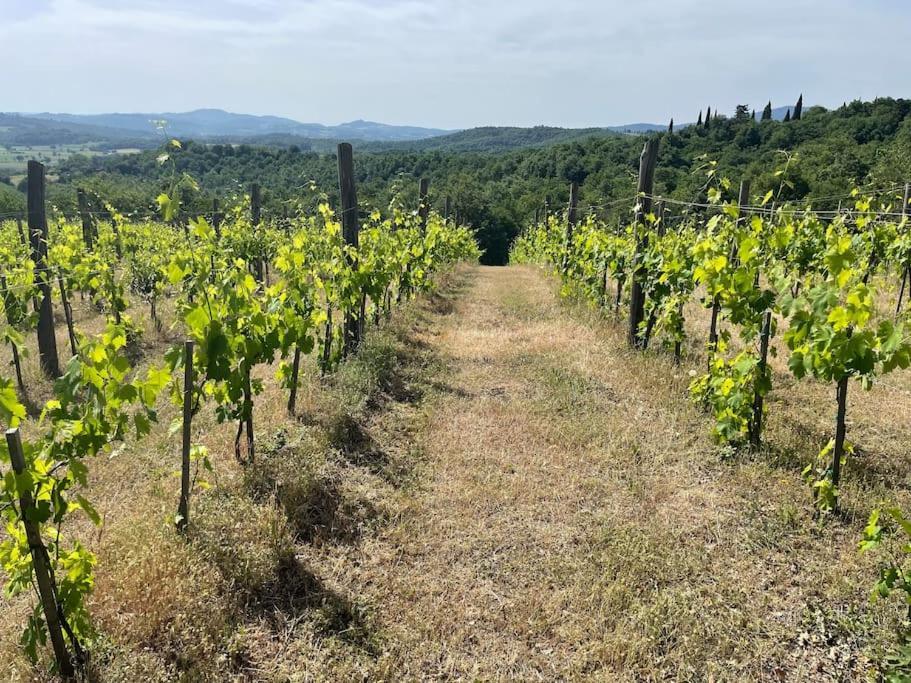 Luxury 1-Bedroom House With The Pool In Tuscany. Anghiari Exterior foto